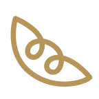Icon.